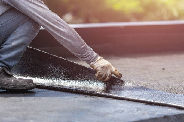 Professional Interior Drainage System technician working in Oakwood, IL